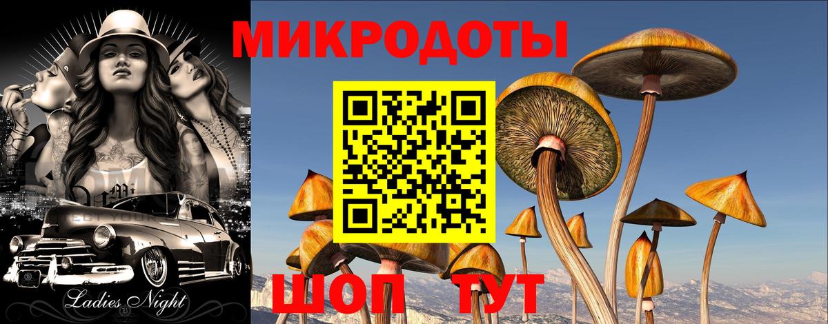 Псилоцибиновые грибы прущие грибы Усть-Джегута