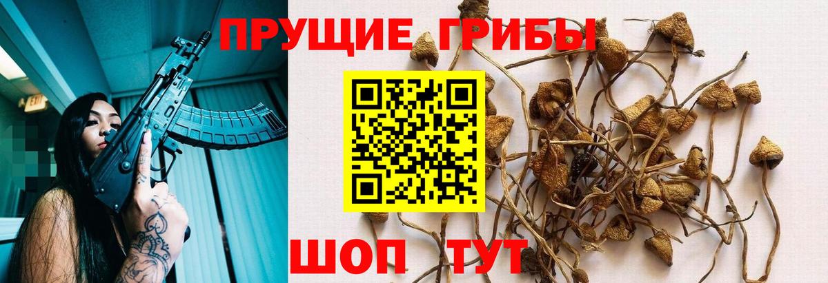 Псилоцибиновые грибы Magic Shrooms  Псилоцибиновые грибы Magic Shrooms  Усть-Джегута  Вход с VPN 